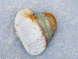 Heart-Shaped Pebble, Scotland, UK