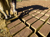 Woman Making Bricks with Mud for Traditional Building Construction, Sambava, North Madagascar