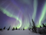 Northern Lights Northwest Territories, March 2008, Canada
