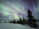 Northern Lights Northwest Territories, March 2008, Canada