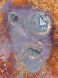 Imagined Face in Slate, Easdale, Scotland, UK