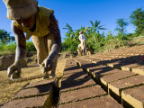 Woman Making Bricks with Mud for Traditional Building Construction, Sambava, North Madagascar