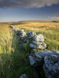 Dry Stone Wall and Moorland Grassland, Late Evening Light, Dartmoor Np, Devon, Uk. September 2008