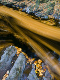 River North Esk Loaded with Beech Leaves, Angus, Scotland, UK, October 2007