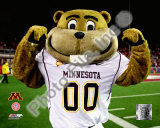 Mascot Goldy University of Minnesota Golden Gophers 2008