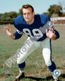 Gino Marchetti