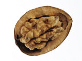 Common Walnuts Seed Exposed in Shell, Native to Southern Europe and Asia