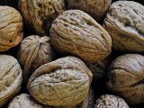 Common Walnuts, Native to Southern Europe and Asia