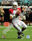 Buy Matt Leinart 2009 at AllPosters.com