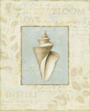 Buy Soothing Words Shells III at AllPosters.com