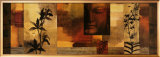 Dharma II