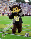 University of Colorado Buffaloes Mascot 2004