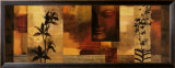 Dharma II