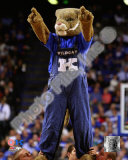 University of Kentucky Wildcats Mascot