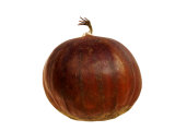 Sweet Chestnut, Europe
