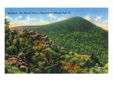 Shenandoah Nat'l Park, Virginia - View of the Highest Peak in the Park, Hawksbill Mt., c.1956