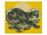 Nature Magazine - View of a Cougar, c.1948