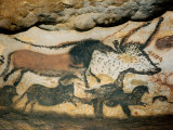 Ancient Artwork on the Walls of the Cave at Lascaux Photographic Print