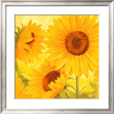 Buy Sun on the Beach at AllPosters.com