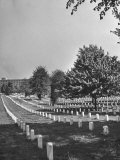 The Sun Shining Down on the Arlington Cemetery