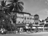 Palm Trees Surrounding the Raffles Hotel