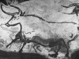 Prehistoric Cave Painting of an Animal