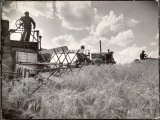 Kansas Farmer Driving Farmall Tractor as He Pulls a Manned Combine During Wheat Harvest