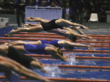 Swimmers Diving to Start a Race at Summer Olympics