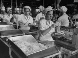 Workers at Ann Page Plant Transferring Spaghetti from Bins into Rows of Cans