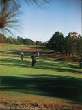 Golfers Playing on the Pinehurst No. 2 Championship Golf Course