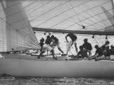 US Contender "Constellation" in America