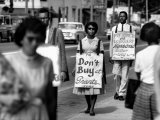 Buy African Americans Connected with Core and Naacp Picketing Grants and its Lunch Counter at AllPosters.com