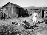 Farm Woman Feeding Her Chickens in a Small Coal Mining Town