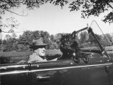 Buy President Franklin D. Roosevelt Driving in His Convertible with His Dog Fala Through Hyde Park at AllPosters.com