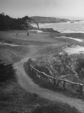 Two Golfers Playing on a Putting Green at Pebble Beach Golf Course