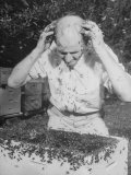 Ethan Andrews Removing Bees after Making 