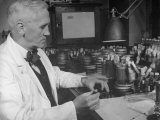 Buy Prof. Alexander Fleming Working in Laboratory at AllPosters.com