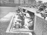 Cardinals Jeering and Waving from their Dugout to the Cubs During a Game