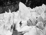 Buy Guide Taking Tourists Through the Pinnacles and Crevices on Fox Glaciers at AllPosters.com