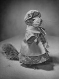 Squirrel Wearing a Baby Doll's Dress