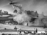 Buy Helicopter Bugproofing Lawns and Forests at AllPosters.com