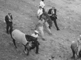 Northern Dancer after Winning the Kentucky Derby