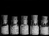 Medicines Used to Prevent Hay Fever