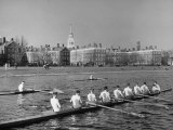Crew Rowing on Charles River across from Harvard University Campus