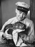 Baby Pygmy Hippo, Gumdrop, Being Rubbed Down Following His Bath