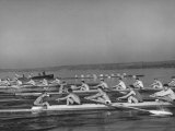 Washington Univ. Rowing Team Practicing on Lake Washington