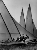 Log Canoe Sailboats Racing on the Chesapeake Bay