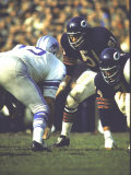 Football: Chicago Bears Dick Butkus #51At Line of Scrimmage During Game Vs Detroit Lions