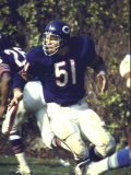 Football: Chicago Bears Dick Butkus #51 in Action Vs Detroit Lions
