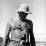 Rhesus Monkey Climbing on a Man's Chest at a Monkey Colony